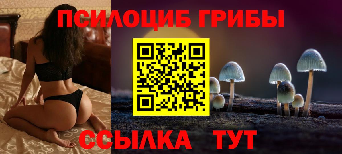 Псилоцибиновые грибы ЛСД  Вход с VPN  хочу наркоту  Элиста  Псилоцибиновые грибы Psilocybe 